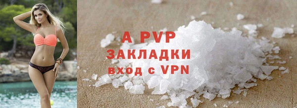 дмт Нея