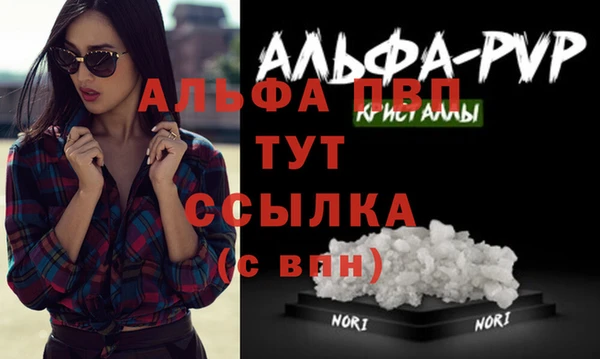 стаф Нефтегорск