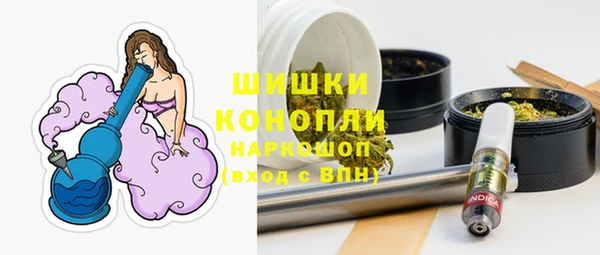 дмт Нея