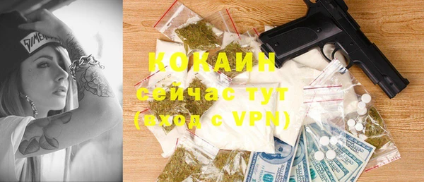 дмт Нея