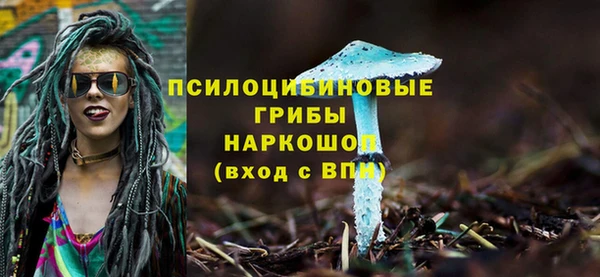 стаф Нефтегорск