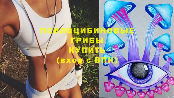 эйфоретик Нефтекумск