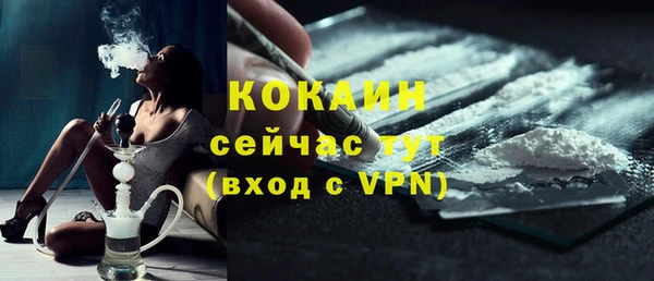 дмт Нея